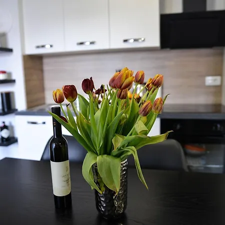 Nicole - One Bedroom With Balcony * Zadar