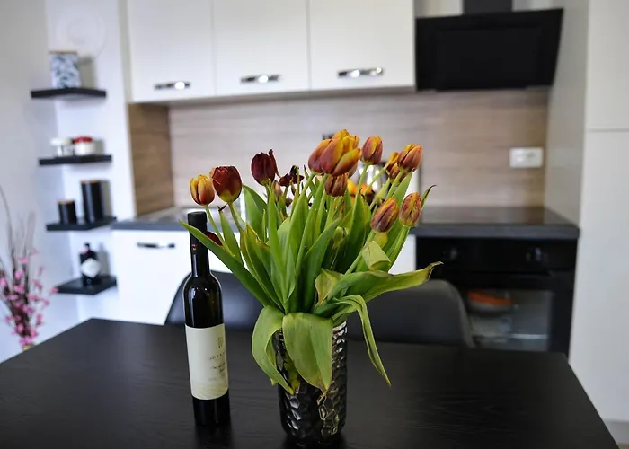 Nicole - One Bedroom With Balcony * Zadar